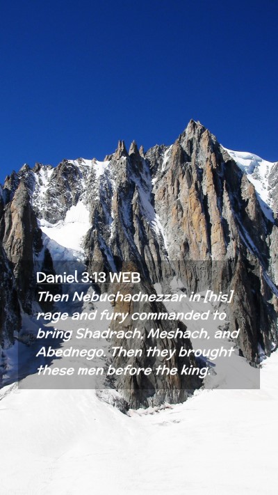 Picture 02 - Daniel 3:13 WEB Mobile Phone Wallpaper - Then Nebuchadnezzar in [his] rage and fury - Mobile Bible Verse Wallpaper