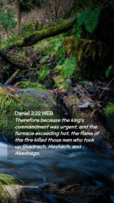 Picture 02 - Daniel 3:22 WEB Mobile Phone Wallpaper - Therefore because the king's commandment was - Mobile Bible Verse Wallpaper