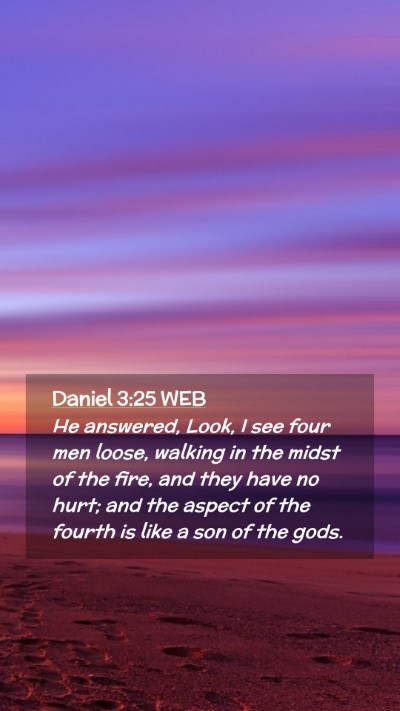 Picture 02 - Daniel 3:25 WEB Mobile Phone Wallpaper - He answered, Look, I see four men loose, walking - Mobile Bible Verse Wallpaper
