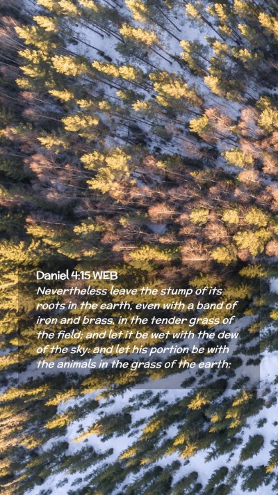 Picture 02 - Daniel 4:15 WEB Mobile Phone Wallpaper - Nevertheless leave the stump of its roots in the - Mobile Bible Verse Wallpaper