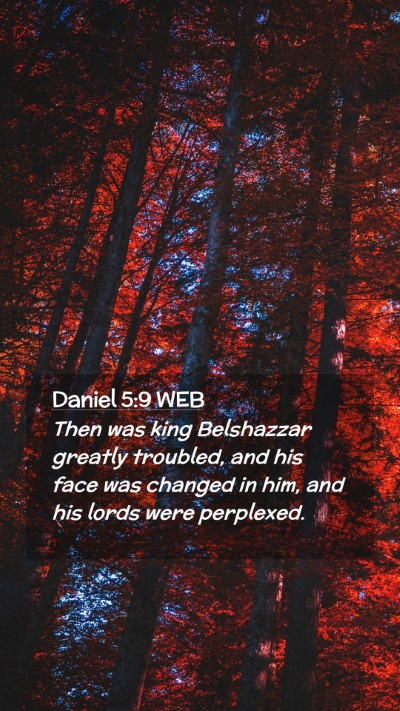 Picture 02 - Daniel 5:9 WEB Mobile Phone Wallpaper - Then was king Belshazzar greatly troubled, and - Mobile Bible Verse Wallpaper