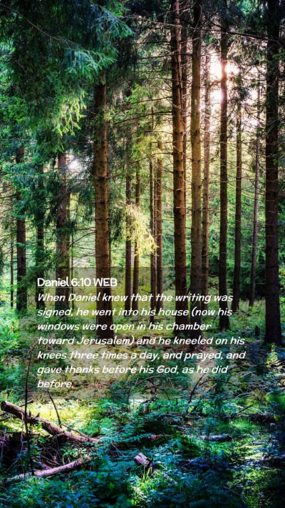 Picture 02 - Daniel 6:10 WEB Mobile Phone Wallpaper - When Daniel knew that the writing was signed, he - Mobile Bible Verse Wallpaper