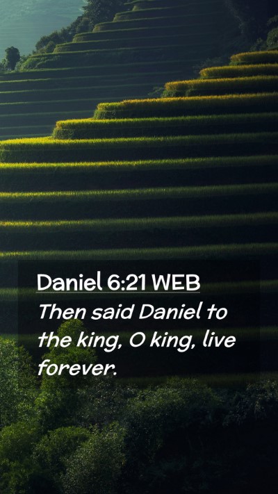 Picture 02 - Daniel 6:21 WEB Mobile Phone Wallpaper - Then said Daniel to the king, O king, live - Mobile Bible Verse Wallpaper