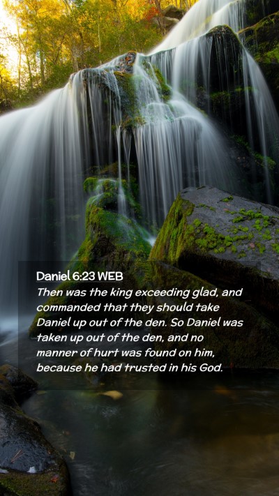 Picture 02 - Daniel 6:23 WEB Mobile Phone Wallpaper - Then was the king exceeding glad, and commanded - Mobile Bible Verse Wallpaper