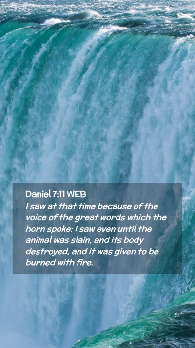 Picture 02 - Daniel 7:11 WEB Mobile Phone Wallpaper - I saw at that time because of the voice of the - Mobile Bible Verse Wallpaper