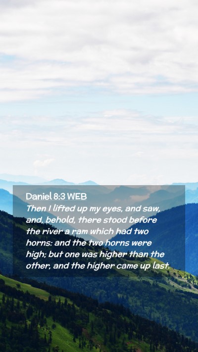 Picture 02 - Daniel 8:3 WEB Mobile Phone Wallpaper - Then I lifted up my eyes, and saw, and, behold, - Mobile Bible Verse Wallpaper