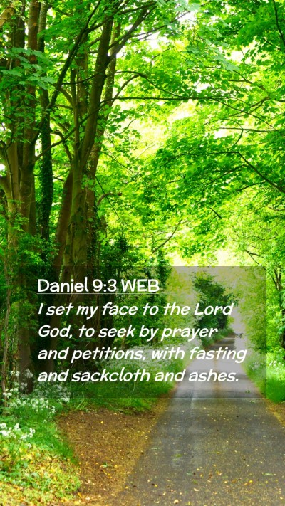 Picture 02 - Daniel 9:3 WEB Mobile Phone Wallpaper - I set my face to the Lord God, to seek by prayer - Mobile Bible Verse Wallpaper