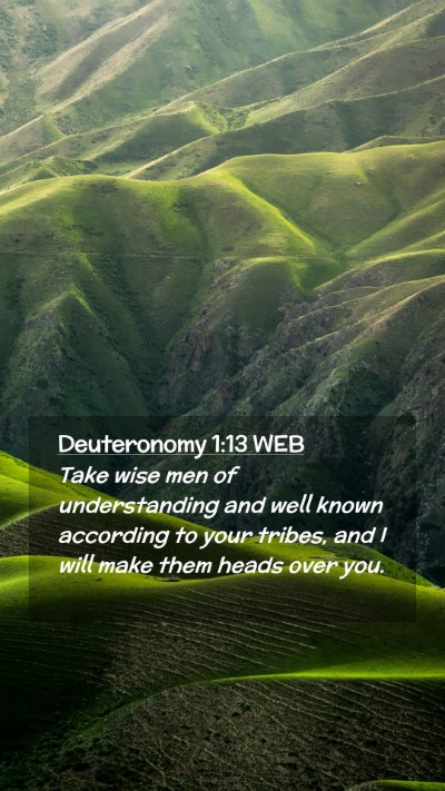 Picture 02 - Deuteronomy 1:13 WEB Mobile Phone Wallpaper - Take wise men of understanding and well known - Mobile Bible Verse Wallpaper