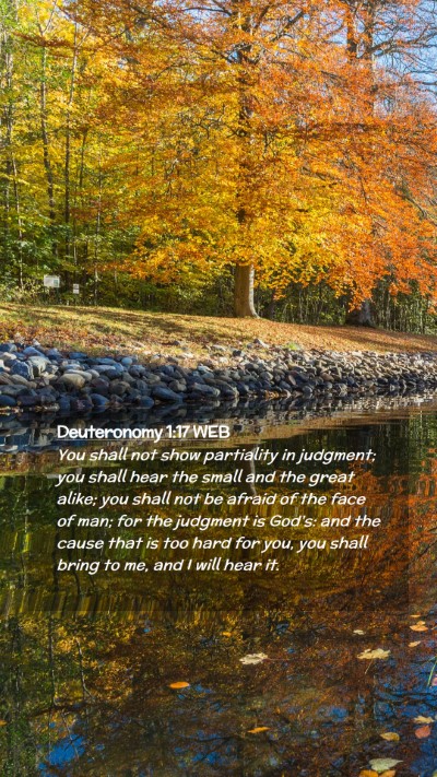 Picture 02 - Deuteronomy 1:17 WEB Mobile Phone Wallpaper - You shall not show partiality in judgment; you - Mobile Bible Verse Wallpaper