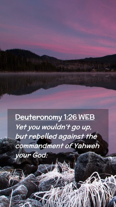 Picture 02 - Deuteronomy 1:26 WEB Mobile Phone Wallpaper - Yet you wouldn't go up, but rebelled against the - Mobile Bible Verse Wallpaper