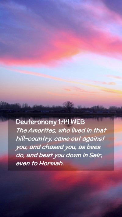 Picture 02 - Deuteronomy 1:44 WEB Mobile Phone Wallpaper - The Amorites, who lived in that hill-country, - Mobile Bible Verse Wallpaper
