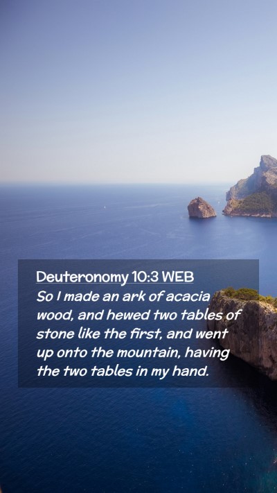 Picture 02 - Deuteronomy 10:3 WEB Mobile Phone Wallpaper - So I made an ark of acacia wood, and hewed two - Mobile Bible Verse Wallpaper