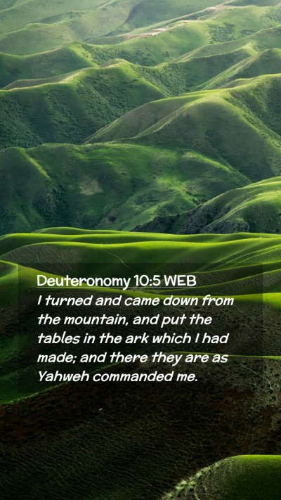 Picture 02 - Deuteronomy 10:5 WEB Mobile Phone Wallpaper - I turned and came down from the mountain, and put - Mobile Bible Verse Wallpaper