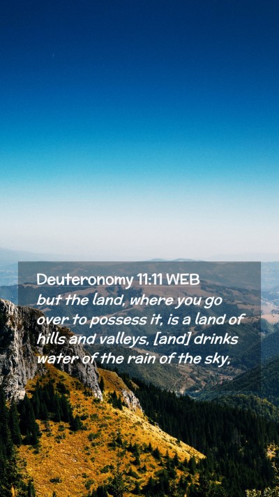 Picture 02 - Deuteronomy 11:11 WEB Mobile Phone Wallpaper - but the land, where you go over to possess it, is - Mobile Bible Verse Wallpaper