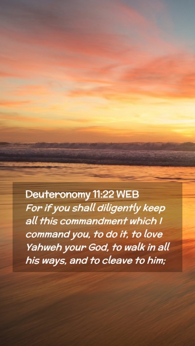 Picture 02 - Deuteronomy 11:22 WEB Mobile Phone Wallpaper - For if you shall diligently keep all this - Mobile Bible Verse Wallpaper