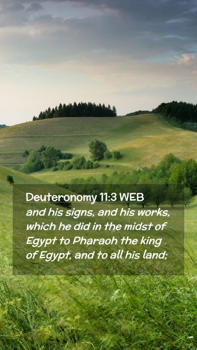 Picture 02 - Deuteronomy 11:3 WEB Mobile Phone Wallpaper - and his signs, and his works, which he did in the - Mobile Bible Verse Wallpaper