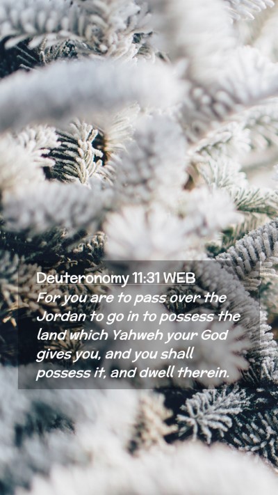 Picture 02 - Deuteronomy 11:31 WEB Mobile Phone Wallpaper - For you are to pass over the Jordan to go in to - Mobile Bible Verse Wallpaper