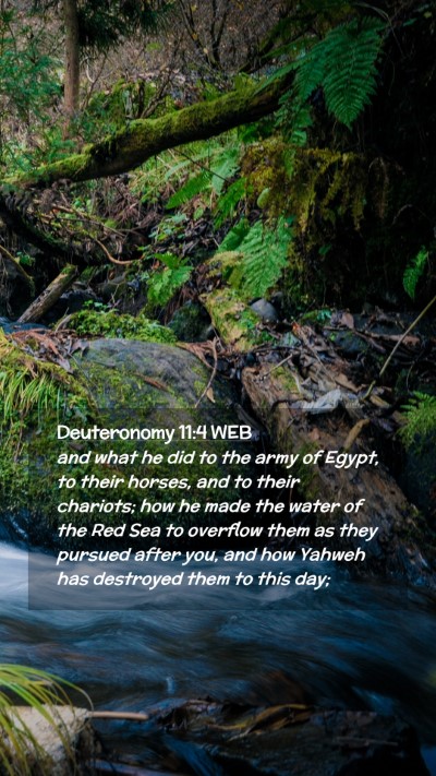 Picture 02 - Deuteronomy 11:4 WEB Mobile Phone Wallpaper - and what he did to the army of Egypt, to their - Mobile Bible Verse Wallpaper