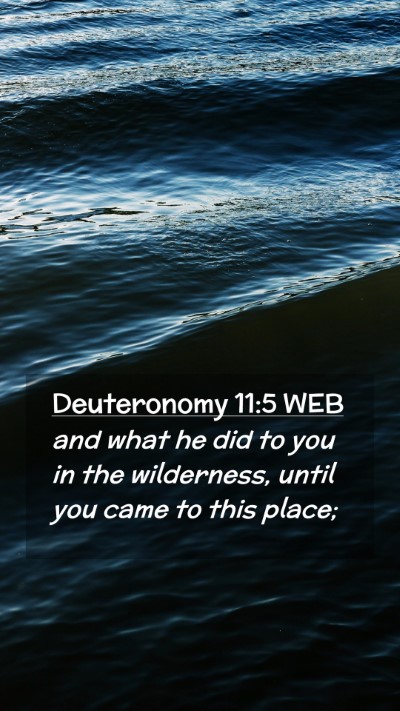 Picture 02 - Deuteronomy 11:5 WEB Mobile Phone Wallpaper - and what he did to you in the wilderness, until - Mobile Bible Verse Wallpaper