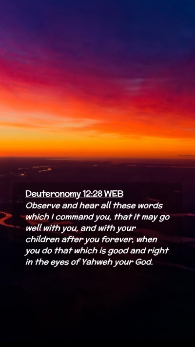 Picture 02 - Deuteronomy 12:28 WEB Mobile Phone Wallpaper - Observe and hear all these words which I command - Mobile Bible Verse Wallpaper