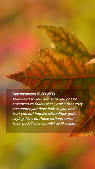 Picture 02 - Deuteronomy 12:30 WEB Mobile Phone Wallpaper - take heed to yourself that you not be ensnared to - Mobile Bible Verse Wallpaper