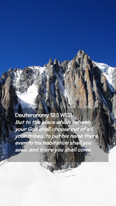 Picture 02 - Deuteronomy 12:5 WEB Mobile Phone Wallpaper - But to the place which Yahweh your God shall - Mobile Bible Verse Wallpaper