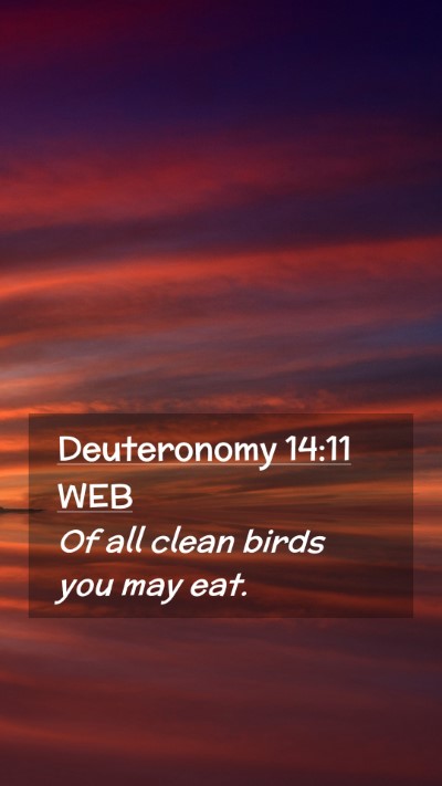 Picture 02 - Deuteronomy 14:11 WEB Mobile Phone Wallpaper - Of all clean birds you may - Mobile Bible Verse Wallpaper