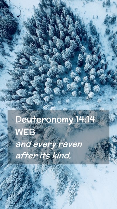 Picture 02 - Deuteronomy 14:14 WEB Mobile Phone Wallpaper - and every raven after its - Mobile Bible Verse Wallpaper