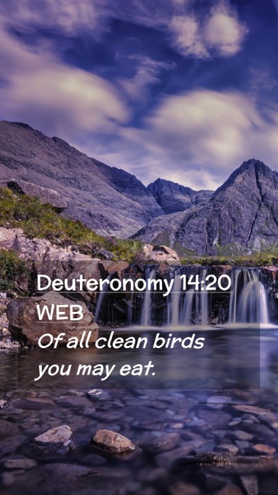 Picture 02 - Deuteronomy 14:20 WEB Mobile Phone Wallpaper - Of all clean birds you may - Mobile Bible Verse Wallpaper