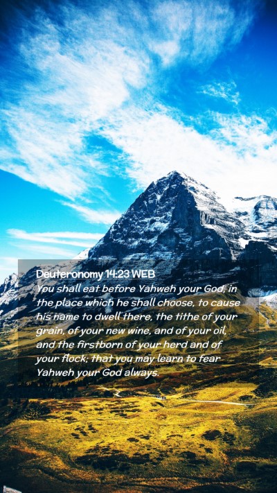 Picture 02 - Deuteronomy 14:23 WEB Mobile Phone Wallpaper - You shall eat before Yahweh your God, in the - Mobile Bible Verse Wallpaper