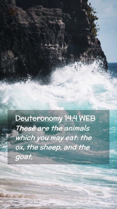Picture 02 - Deuteronomy 14:4 WEB Mobile Phone Wallpaper - These are the animals which you may eat: the ox, - Mobile Bible Verse Wallpaper
