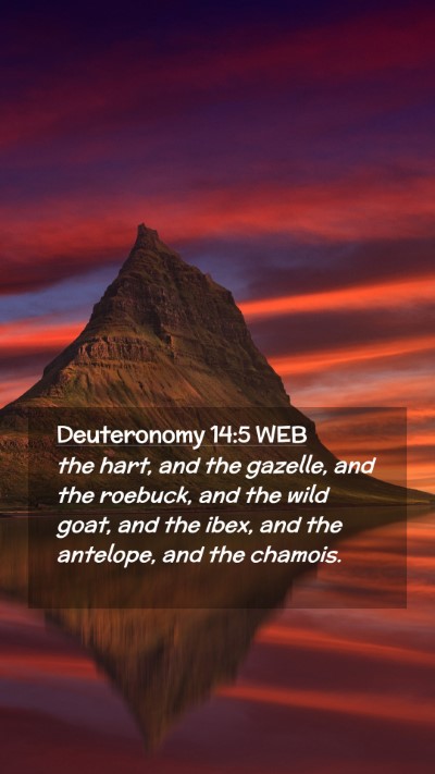 Picture 02 - Deuteronomy 14:5 WEB Mobile Phone Wallpaper - the hart, and the gazelle, and the roebuck, and - Mobile Bible Verse Wallpaper