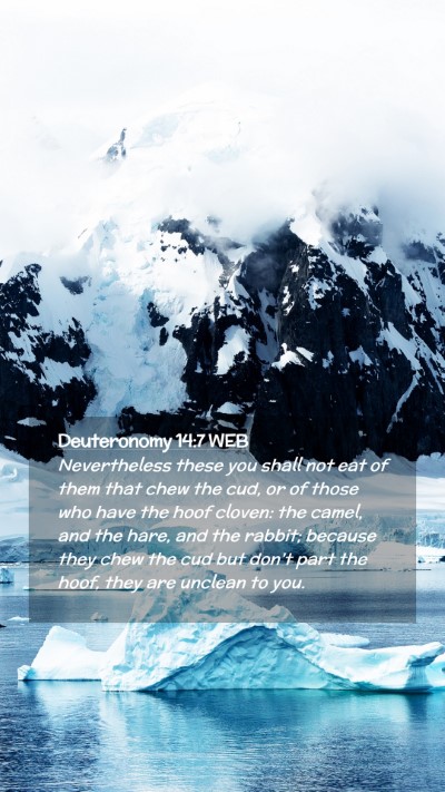 Picture 02 - Deuteronomy 14:7 WEB Mobile Phone Wallpaper - Nevertheless these you shall not eat of them that - Mobile Bible Verse Wallpaper