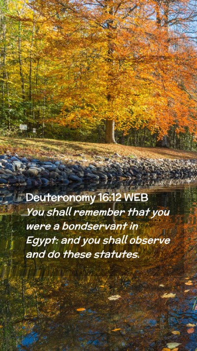 Picture 02 - Deuteronomy 16:12 WEB Mobile Phone Wallpaper - You shall remember that you were a bondservant in - Mobile Bible Verse Wallpaper