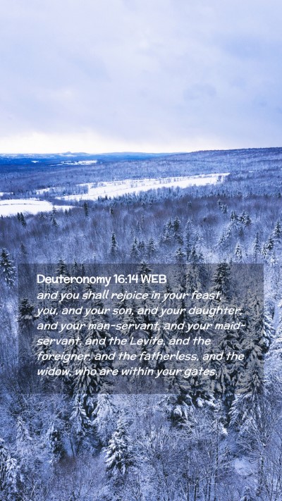 Picture 02 - Deuteronomy 16:14 WEB Mobile Phone Wallpaper - and you shall rejoice in your feast, you, and - Mobile Bible Verse Wallpaper