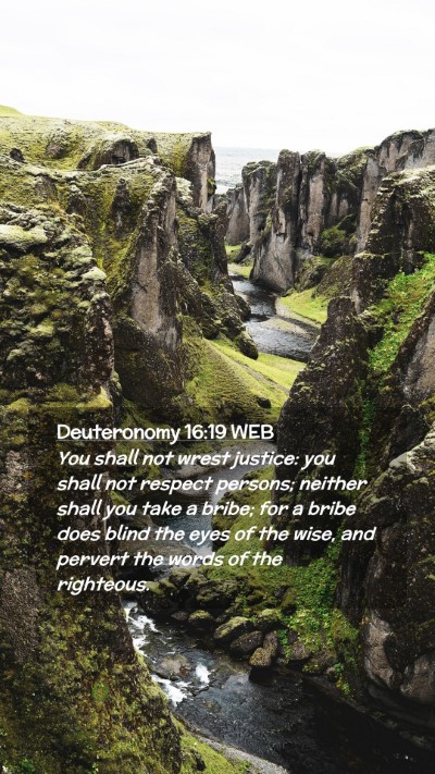 Picture 02 - Deuteronomy 16:19 WEB Mobile Phone Wallpaper - You shall not wrest justice: you shall not - Mobile Bible Verse Wallpaper