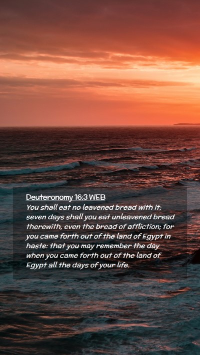 Picture 02 - Deuteronomy 16:3 WEB Mobile Phone Wallpaper - You shall eat no leavened bread with it; seven - Mobile Bible Verse Wallpaper
