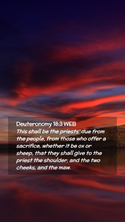 Picture 02 - Deuteronomy 18:3 WEB Mobile Phone Wallpaper - This shall be the priests' due from the people, - Mobile Bible Verse Wallpaper