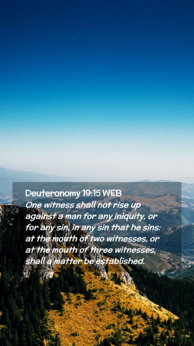 Picture 02 - Deuteronomy 19:15 WEB Mobile Phone Wallpaper - One witness shall not rise up against a man for - Mobile Bible Verse Wallpaper