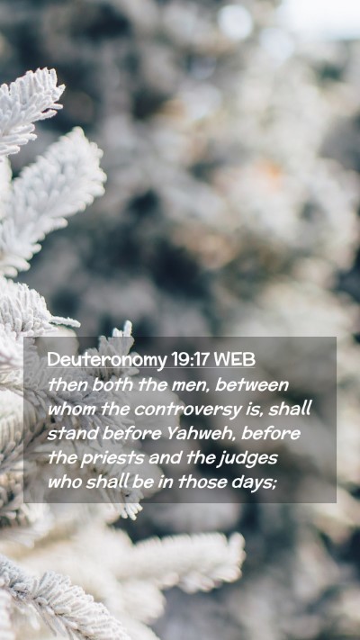 Picture 02 - Deuteronomy 19:17 WEB Mobile Phone Wallpaper - then both the men, between whom the controversy - Mobile Bible Verse Wallpaper