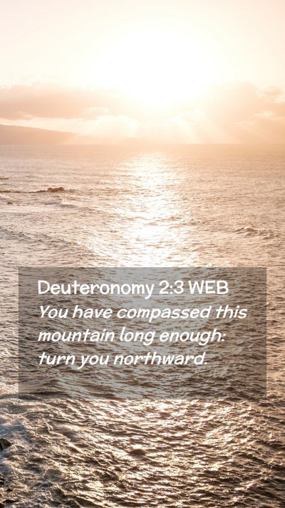 Picture 02 - Deuteronomy 2:3 WEB Mobile Phone Wallpaper - You have compassed this mountain long enough: - Mobile Bible Verse Wallpaper
