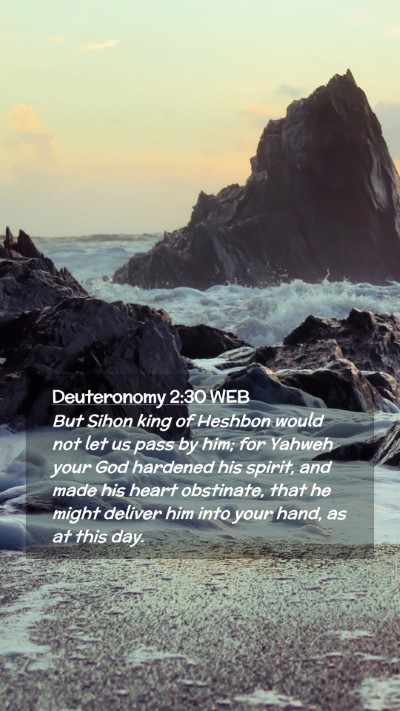 Picture 02 - Deuteronomy 2:30 WEB Mobile Phone Wallpaper - But Sihon king of Heshbon would not let us pass - Mobile Bible Verse Wallpaper
