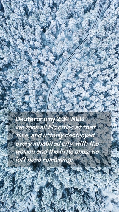 Picture 02 - Deuteronomy 2:34 WEB Mobile Phone Wallpaper - We took all his cities at that time, and utterly - Mobile Bible Verse Wallpaper