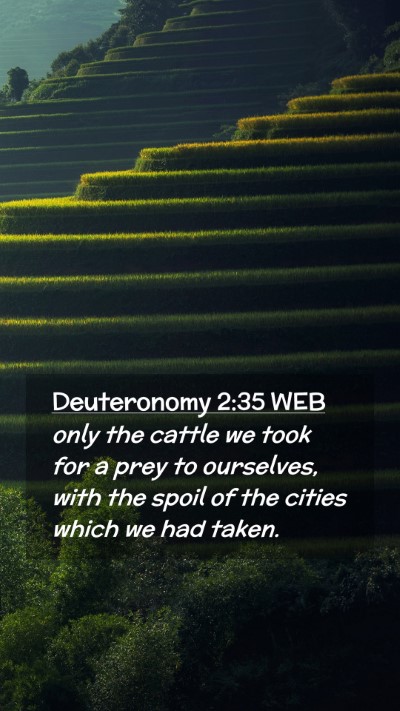 Picture 02 - Deuteronomy 2:35 WEB Mobile Phone Wallpaper - only the cattle we took for a prey to ourselves, - Mobile Bible Verse Wallpaper