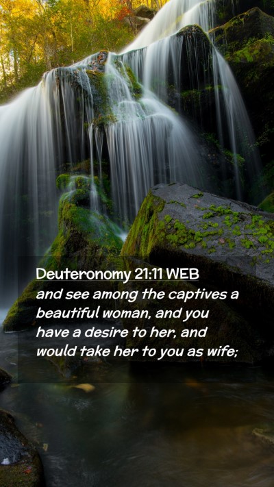 Picture 02 - Deuteronomy 21:11 WEB Mobile Phone Wallpaper - and see among the captives a beautiful woman, and - Mobile Bible Verse Wallpaper
