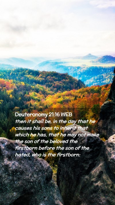 Picture 02 - Deuteronomy 21:16 WEB Mobile Phone Wallpaper - then it shall be, in the day that he causes his - Mobile Bible Verse Wallpaper