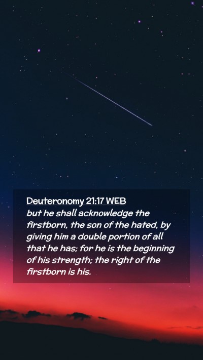Picture 02 - Deuteronomy 21:17 WEB Mobile Phone Wallpaper - but he shall acknowledge the firstborn, the son - Mobile Bible Verse Wallpaper