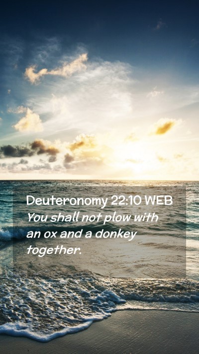 Picture 02 - Deuteronomy 22:10 WEB Mobile Phone Wallpaper - You shall not plow with an ox and a donkey - Mobile Bible Verse Wallpaper