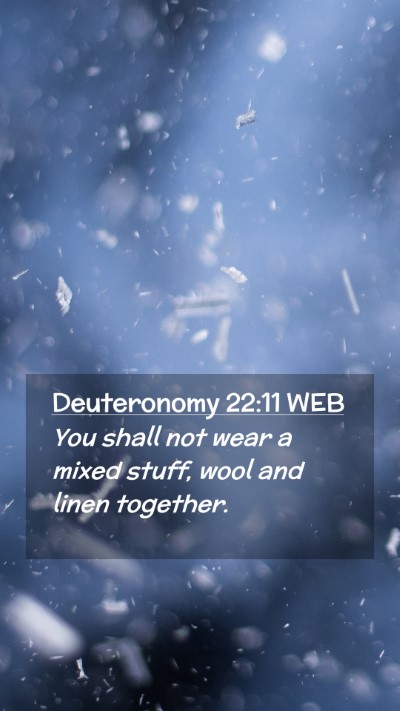 Picture 02 - Deuteronomy 22:11 WEB Mobile Phone Wallpaper - You shall not wear a mixed stuff, wool and linen - Mobile Bible Verse Wallpaper