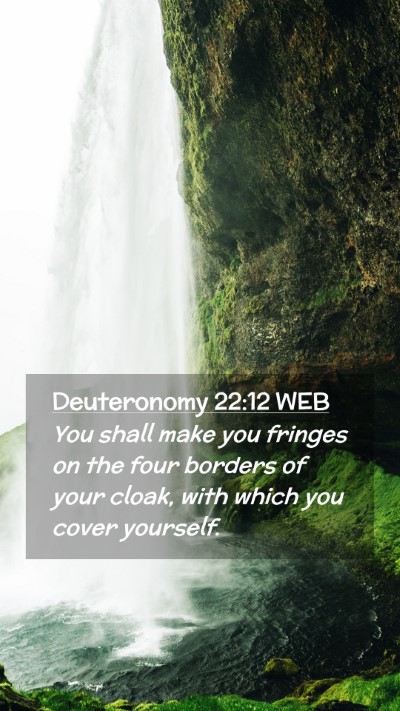 Picture 02 - Deuteronomy 22:12 WEB Mobile Phone Wallpaper - You shall make you fringes on the four borders of - Mobile Bible Verse Wallpaper